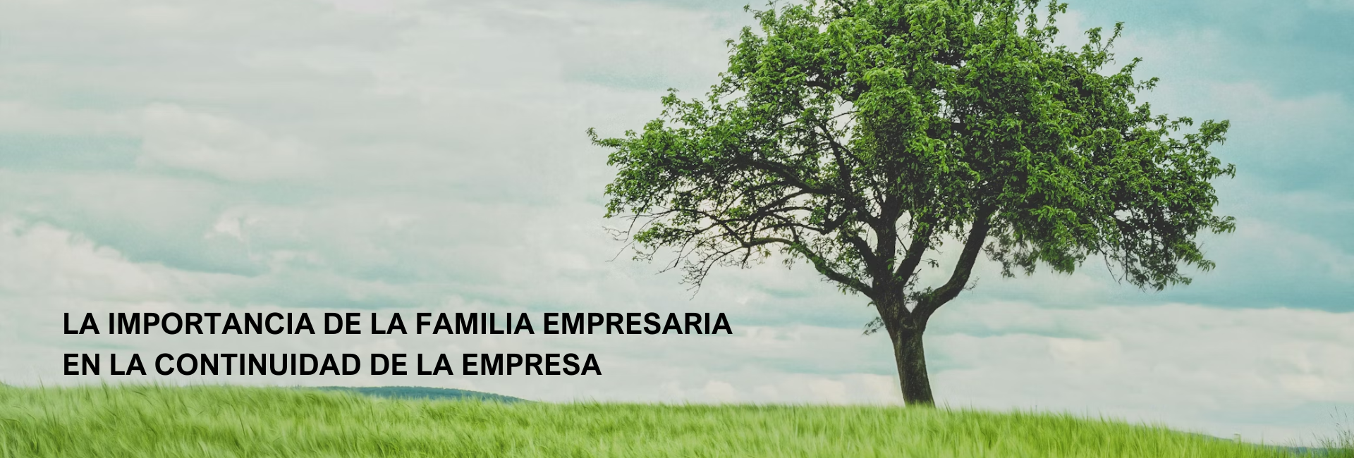 La importancia de la familia empresaria en la continuidad de la empresa